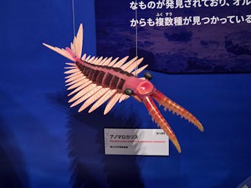 特別展「大絶滅展―生命史のビッグファイブ」に投稿された画像（2025/11/8）