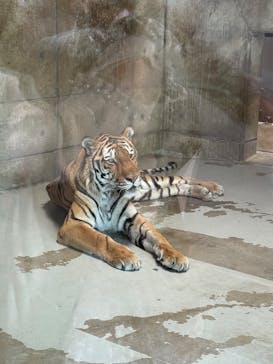 天王寺動物園に投稿された画像（2025/11/8）