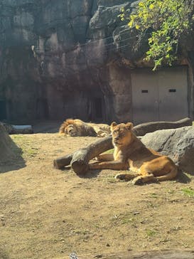 天王寺動物園に投稿された画像（2025/11/8）
