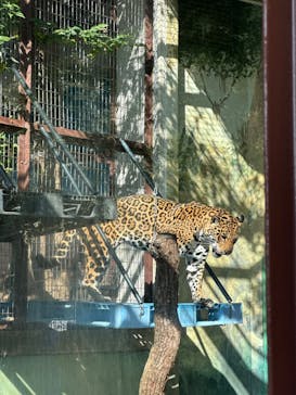 天王寺動物園に投稿された画像（2025/11/8）