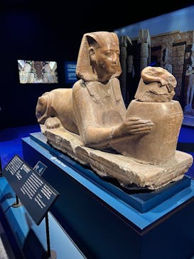 ACN ラムセス大王展 ファラオたちの黄金に投稿された画像（2025/11/8）