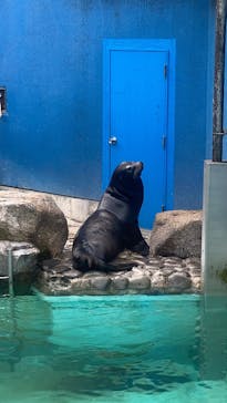 千葉市動物公園に投稿された画像（2025/11/8）