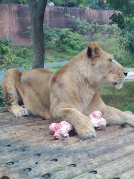多摩動物公園に投稿された画像（2025/11/8）