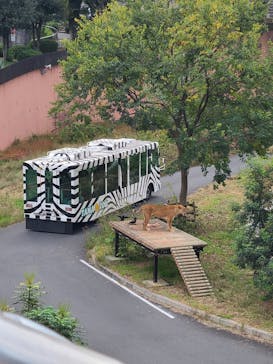 多摩動物公園に投稿された画像（2025/11/8）