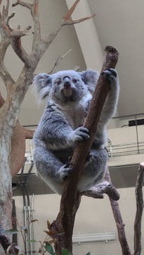 多摩動物公園に投稿された画像（2025/11/8）