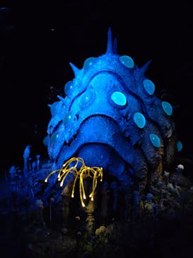 金曜ロードショーとジブリ展（静岡展）に投稿された画像（2025/11/8）