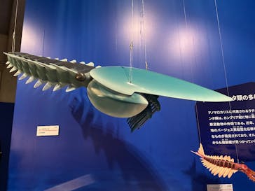 特別展「大絶滅展―生命史のビッグファイブ」に投稿された画像（2025/11/8）