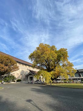 東京国立博物館に投稿された画像（2025/11/8）