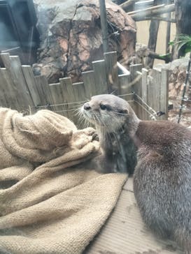 恩賜上野動物園に投稿された画像（2025/11/8）