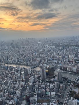 東京スカイツリーに投稿された画像（2025/11/8）
