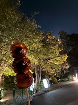 国営昭和記念公園 秋の夜散歩に投稿された画像（2025/11/8）
