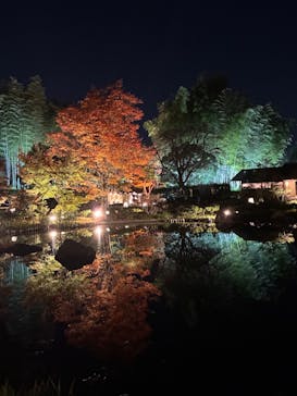国営昭和記念公園 秋の夜散歩に投稿された画像（2025/11/8）