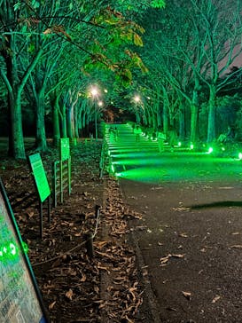 国営昭和記念公園 秋の夜散歩に投稿された画像（2025/11/8）