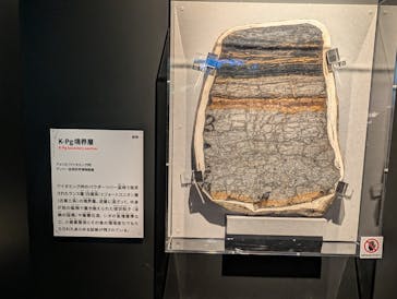 特別展「大絶滅展―生命史のビッグファイブ」に投稿された画像（2025/11/8）