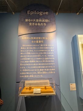 特別展「大絶滅展―生命史のビッグファイブ」に投稿された画像（2025/11/8）