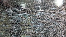 サケのふるさと 千歳水族館に投稿された画像（2025/11/8）