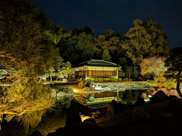 NAKED meets 二条城 2025 観月に投稿された画像（2025/11/8）