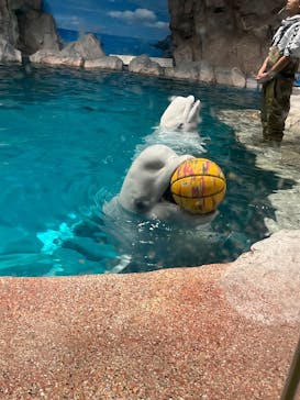 名古屋港水族館に投稿された画像（2025/11/8）