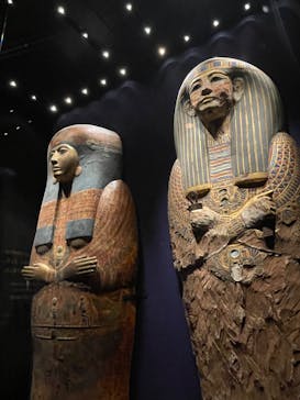 ACN ラムセス大王展 ファラオたちの黄金に投稿された画像（2025/11/8）