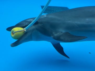 九十九島水族館海きららに投稿された画像（2025/11/8）