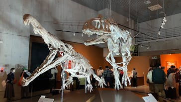 特別展「大絶滅展―生命史のビッグファイブ」に投稿された画像（2025/11/8）