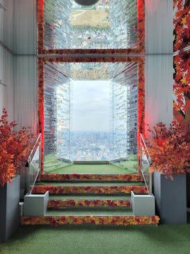 サンシャイン60展望台に投稿された画像（2025/11/8）