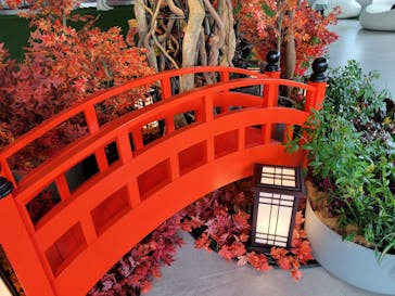 サンシャイン60展望台に投稿された画像（2025/11/8）