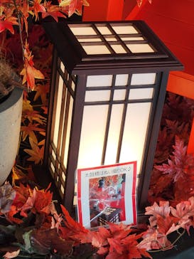 サンシャイン60展望台に投稿された画像（2025/11/8）