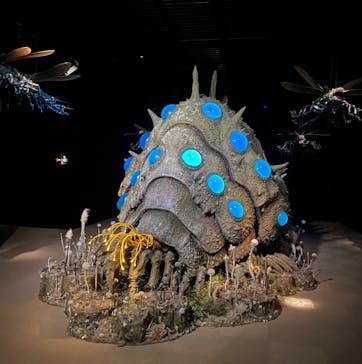 金曜ロードショーとジブリ展（静岡展）に投稿された画像（2025/11/8）