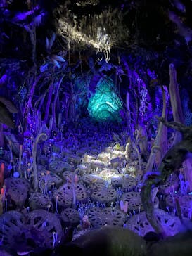 金曜ロードショーとジブリ展（静岡展）に投稿された画像（2025/11/8）