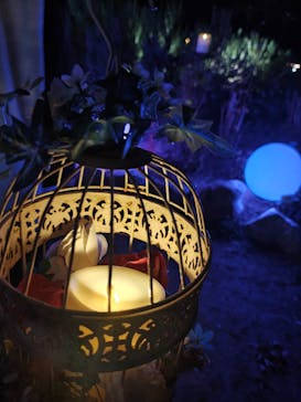 世羅高原農場に投稿された画像（2025/11/8）