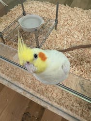 いきもの探検隊湘南に投稿された画像（2025/11/8）