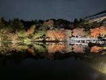 国営昭和記念公園 秋の夜散歩に投稿された画像（2025/11/8）