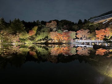国営昭和記念公園 秋の夜散歩に投稿された画像（2025/11/8）