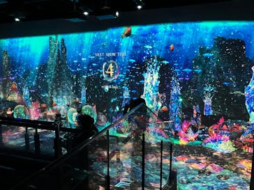 ハウステンボスに投稿された画像（2025/11/8）