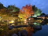 国営昭和記念公園 秋の夜散歩に投稿された画像（2025/11/8）