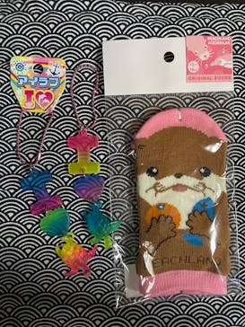 南知多ビーチランド＆南知多おもちゃ王国に投稿された画像（2025/11/8）