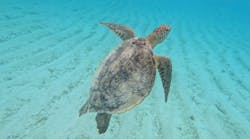 tome cruiseに投稿された画像（2025/11/8）