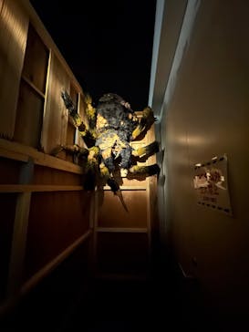 ホラーにふれる展に投稿された画像（2025/11/8）