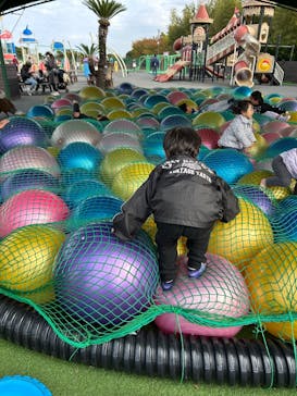 伊豆ぐらんぱる公園に投稿された画像（2025/11/8）