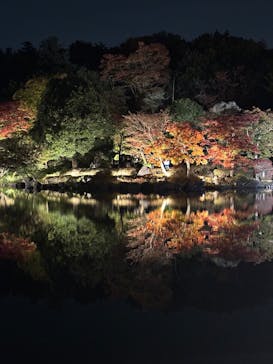 国営昭和記念公園 秋の夜散歩に投稿された画像（2025/11/8）