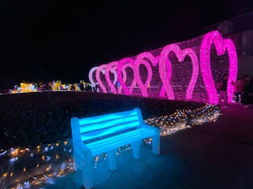 神戸イルミナージュに投稿された画像（2025/11/8）