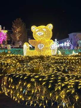 神戸イルミナージュに投稿された画像（2025/11/8）