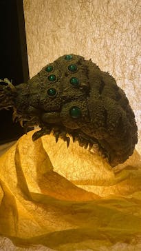 金曜ロードショーとジブリ展（静岡展）に投稿された画像（2025/11/8）