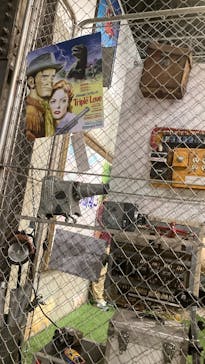 金曜ロードショーとジブリ展（静岡展）に投稿された画像（2025/11/8）