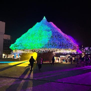 東京メガイルミに投稿された画像（2025/11/8）