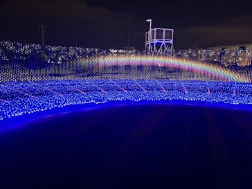 東京メガイルミに投稿された画像（2025/11/8）