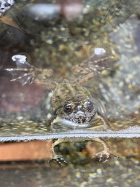 越前松島水族館に投稿された画像（2025/11/8）