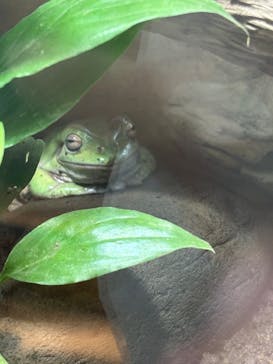 越前松島水族館に投稿された画像（2025/11/8）