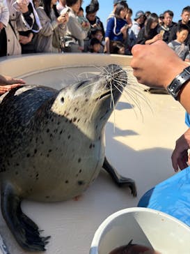 越前松島水族館に投稿された画像（2025/11/8）